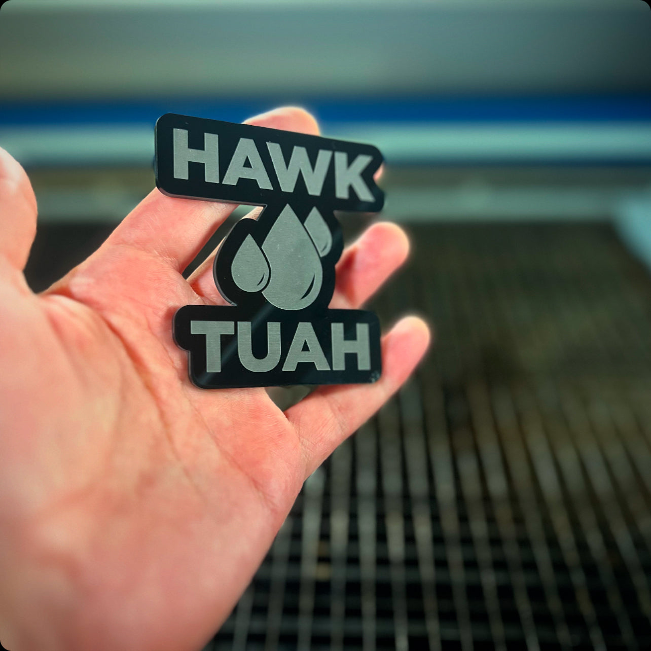 Hawk Tuah Badges Version 2 (2 included)