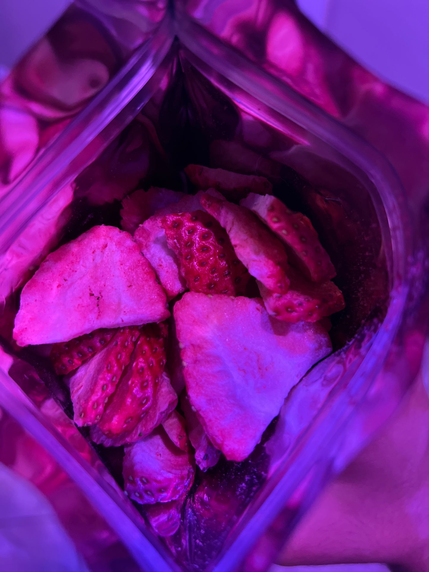 Freeze Dried Strawberries (Large 1.5 oz Bag)